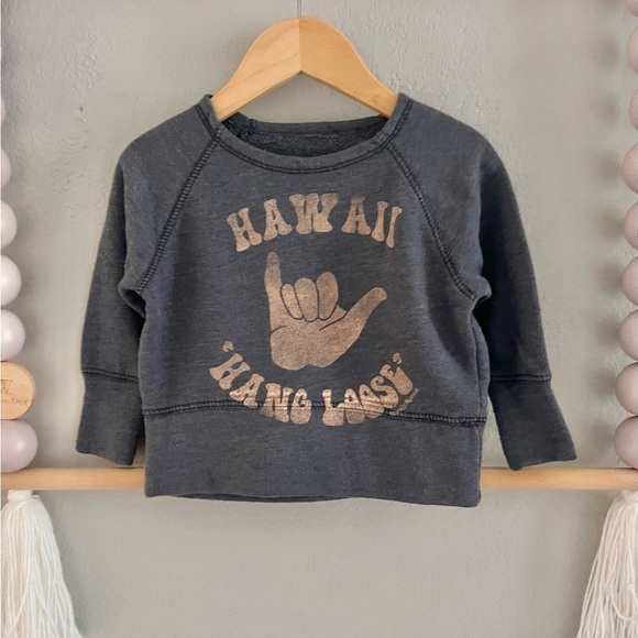Rowdy Sprout Hawaii Kids Sweatshirt - Picture 1 of 4
